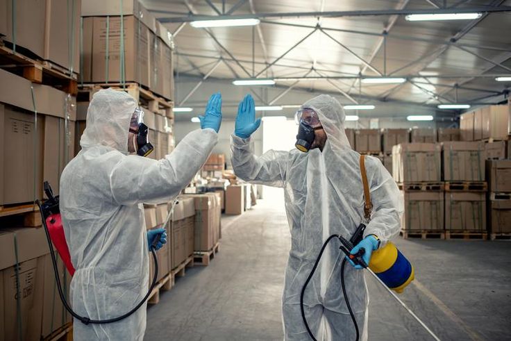 Karamürsel Böcek İlaçlama Profesyonel Ekip